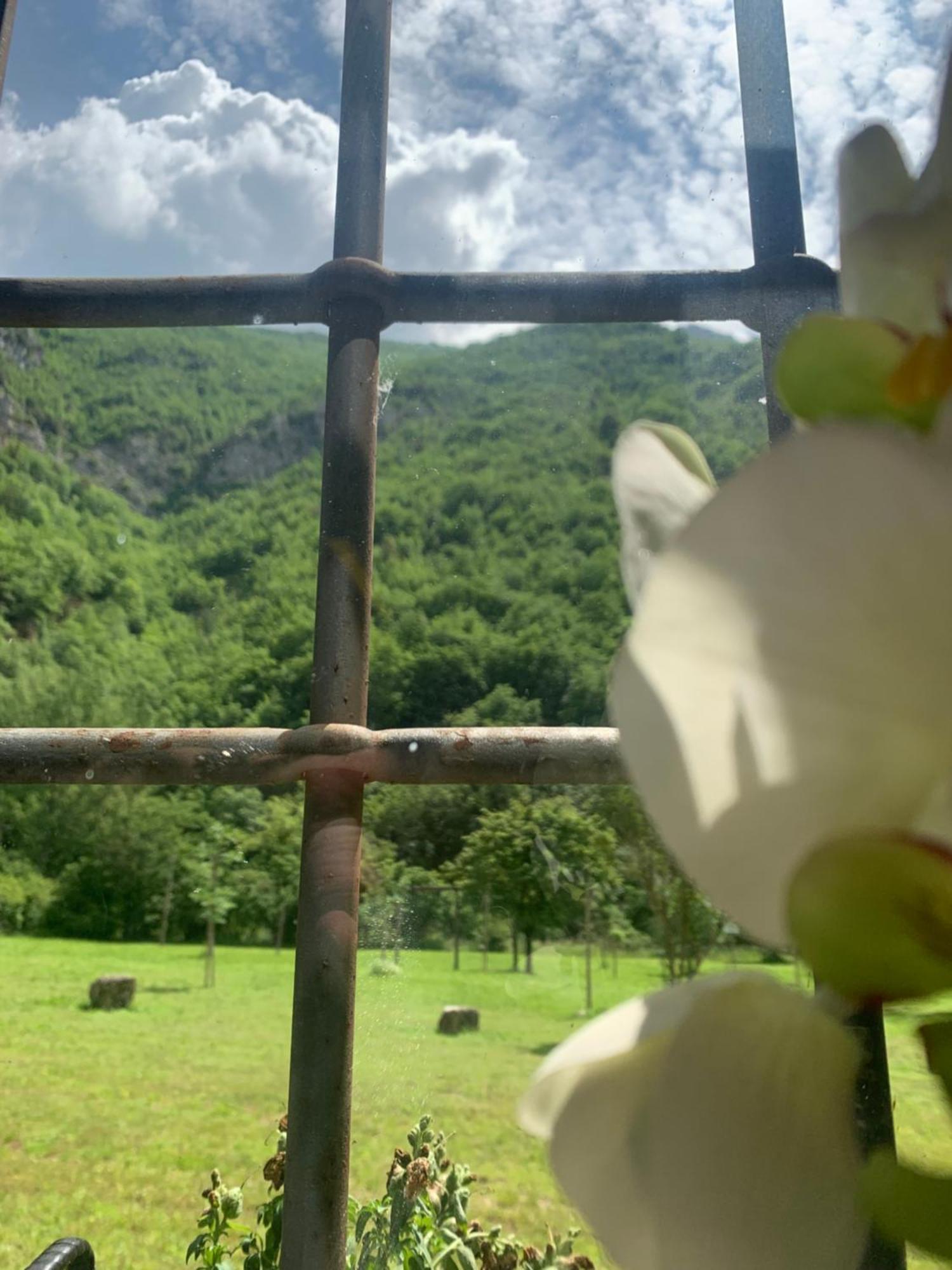 Abbazia Ss. Quirico E Giulitta Ξενοδοχείο Micigliano Εξωτερικό φωτογραφία